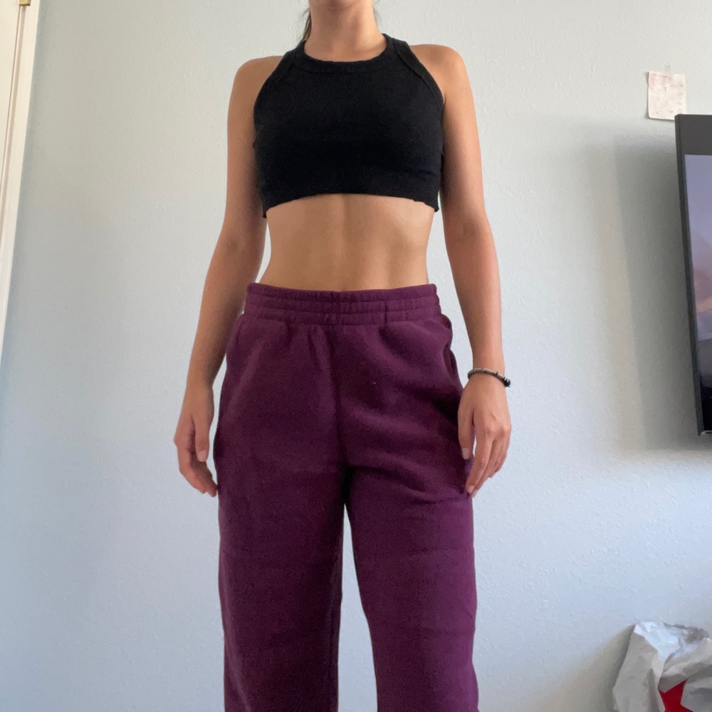 Aritzia TNA polar jogger